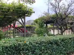 亀戸天神社の庭園