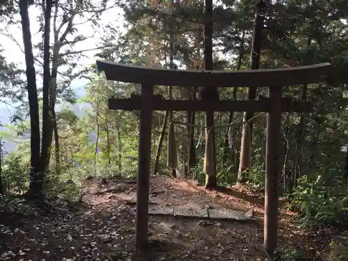 石上布都魂神社の鳥居