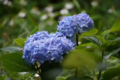 尻岸内八幡神社の景色