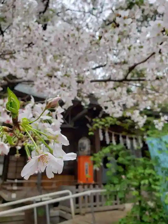 神明氷川神社(東京都)