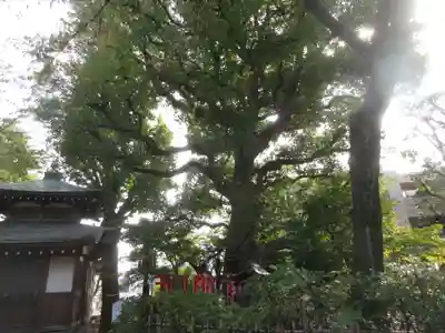 大福生寺(東京都)
