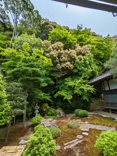 南禅寺(京都府)