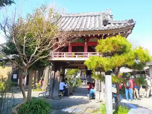 道智山 遍照院の山門