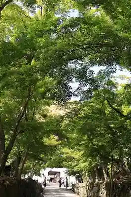 興聖寺(興聖寶林禅寺)(京都府)