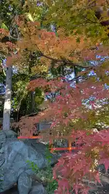 新熊野神社(京都府)