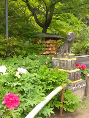 多聞院(埼玉県)