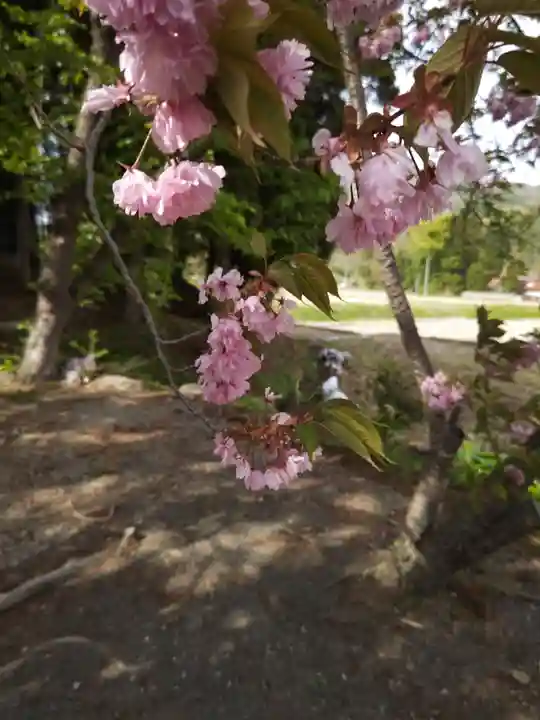 高司神社〜むすびの神の鎮まる社〜の自然