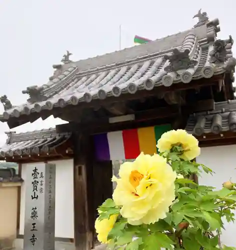 真言宗　善通寺派　薬王寺(香川県)