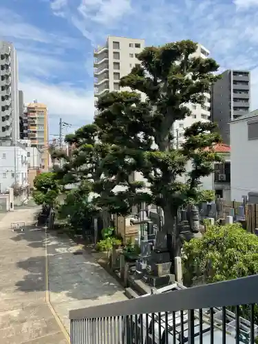 世尊寺(東京都)