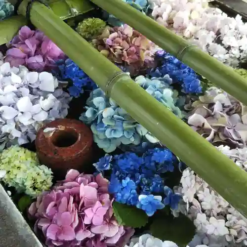 唐澤山神社の手水舎