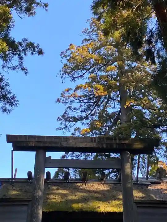 伊勢神宮内宮(皇大神宮)(三重県)