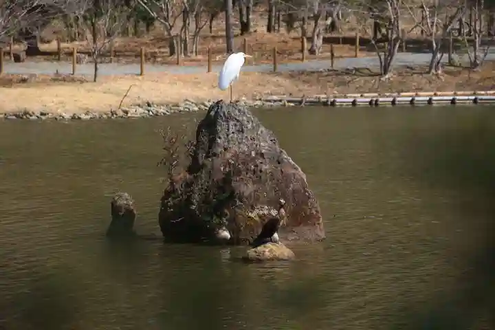 白水阿弥陀堂の庭園