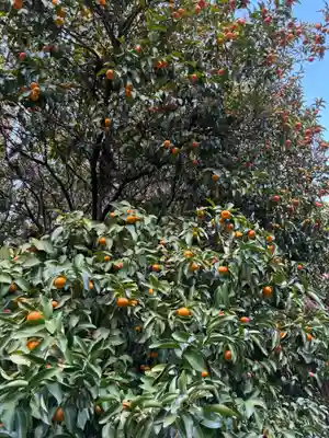 香取神宮奥宮(千葉県)