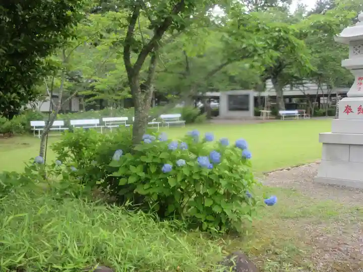 茨城縣護國神社(茨城県)