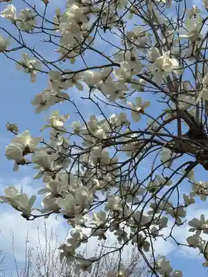 松源寺(群馬県)