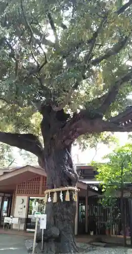 座間神社の自然