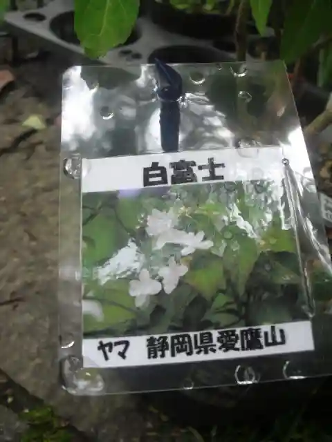 光則寺の手水舎