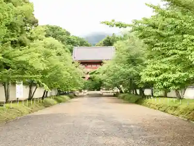 醍醐寺(京都府)