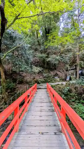 鞍馬寺(京都府)