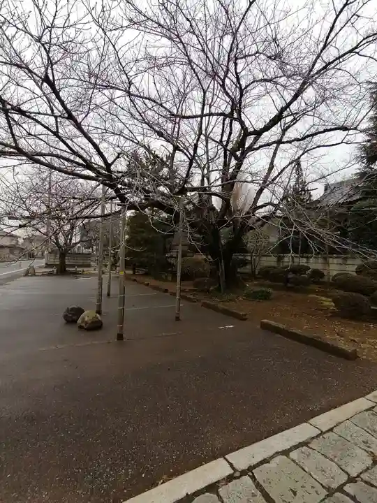 無量壽院の自然