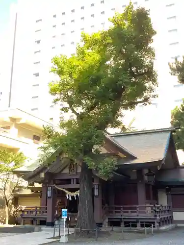 三吉神社の本殿