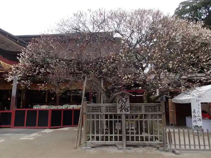 太宰府天満宮の自然