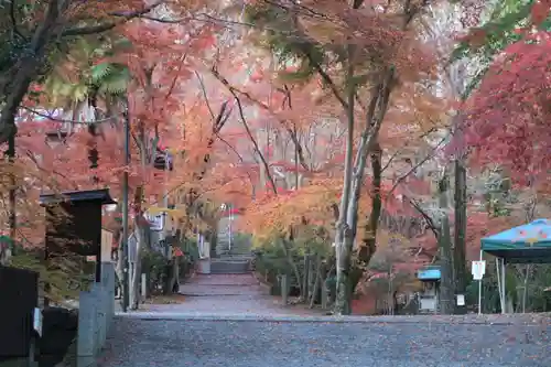 神峯山寺の自然
