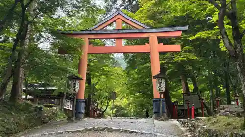 日吉大社の{uncategorized: "未分類", other: "その他", undefined: "問題あり", building: "その他建物", grave: "お墓", sacred_gate: "鳥居", guardian: "狛犬", statue: "像", buddha: "仏像", history: "歴史", nature: "自然", garden: "庭園", animal: "動物", pagoda: "塔", temizu: "手水舎", mountain_gate: "山門・神門", sanctuary: "本殿・本堂", subordinate: "末社・摂社", art: "芸術", scenery: "景色", jizo: "地蔵", ema: "絵馬", goshuin: "御朱印", omikuji: "おみくじ", items: "授与品その他", amulet: "お守り", goshuincho: "御朱印帳", eats: "食事", festival: "お祭り", votive_dance: "神楽", shichigosan: "七五三参", wedding: "結婚式", experience: "体験その他", initially: "初詣", around: "周辺", anti_infection: "感染症対策"}