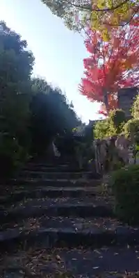 佐久奈度神社のその他建物