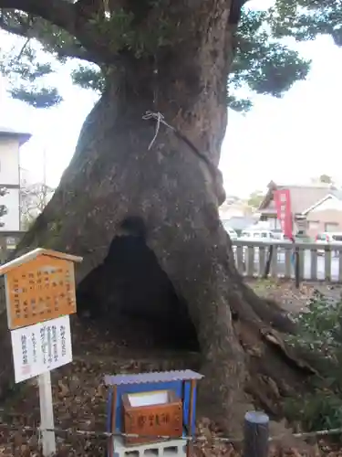 細江神社の自然