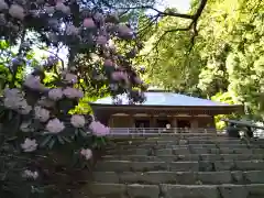 室生寺(奈良県)