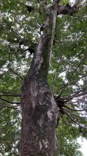 御崎宮(岡山県)