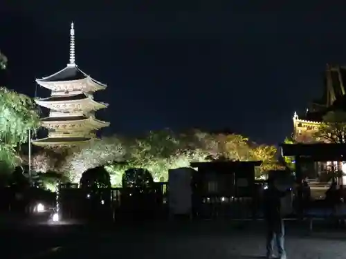 東寺（教王護国寺）の景色