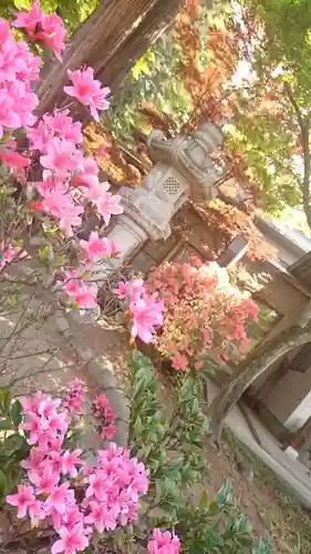 下野國一社八幡宮のその他建物