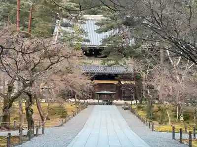 南禅寺の本殿・本堂