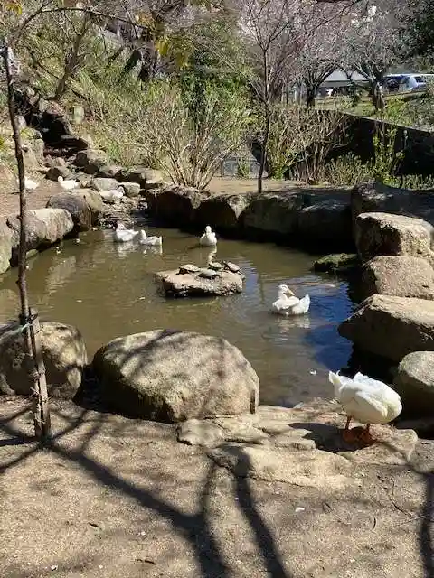 楽法寺(雨引観音)の動物