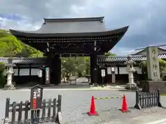 京都乃木神社(京都府)