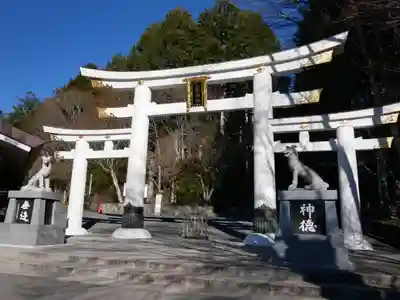 三峯神社の鳥居