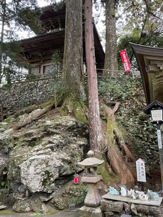太龍寺(徳島県)