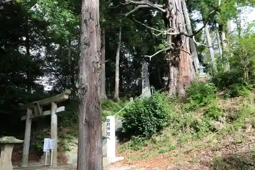 阿久津「田村神社」（郡山市阿久津町）旧社名：伊豆箱根三嶋三社の景色