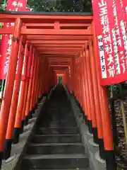 日枝神社の鳥居