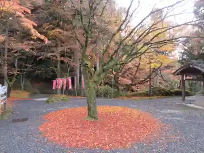 今熊野観音寺(京都府)