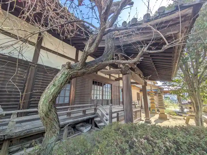 善応寺(東京都)