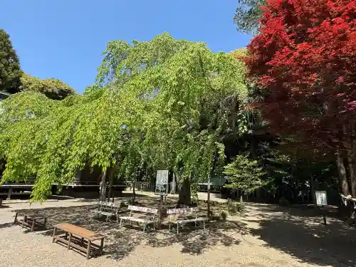 常陸第三宮　吉田神社(茨城県)