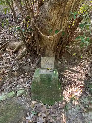 愛宕神社の自然