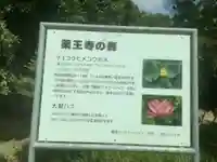 薬王寺のその他建物