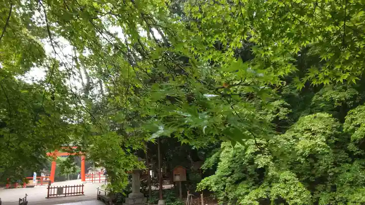 賀茂御祖神社(下鴨神社)のその他建物