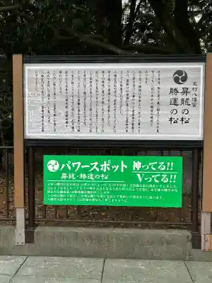 玉村八幡宮の{uncategorized: "未分類", other: "その他", undefined: "問題あり", building: "その他建物", grave: "お墓", sacred_gate: "鳥居", guardian: "狛犬", statue: "像", buddha: "仏像", history: "歴史", nature: "自然", garden: "庭園", animal: "動物", pagoda: "塔", temizu: "手水舎", mountain_gate: "山門・神門", sanctuary: "本殿・本堂", subordinate: "末社・摂社", art: "芸術", scenery: "景色", jizo: "地蔵", ema: "絵馬", goshuin: "御朱印", omikuji: "おみくじ", items: "授与品その他", amulet: "お守り", goshuincho: "御朱印帳", eats: "食事", festival: "お祭り", votive_dance: "神楽", shichigosan: "七五三参", wedding: "結婚式", experience: "体験その他", initially: "初詣", around: "周辺", anti_infection: "感染症対策"}