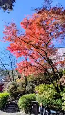 長谷寺(奈良県)