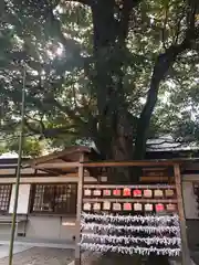 辛國神社の絵馬